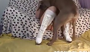 sexo de cachorro,sexo com animais