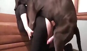 bsbwt - sexo de cachorro,sexo foda animal